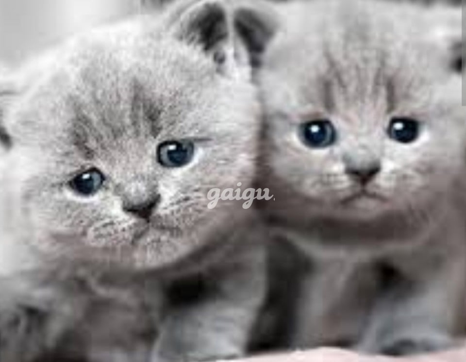 BÉ CUTE TRẺ TRUNG XINH XẮN VÚ NON TƠ ĐẸP MỚI VỪA VÀO NGHỀ